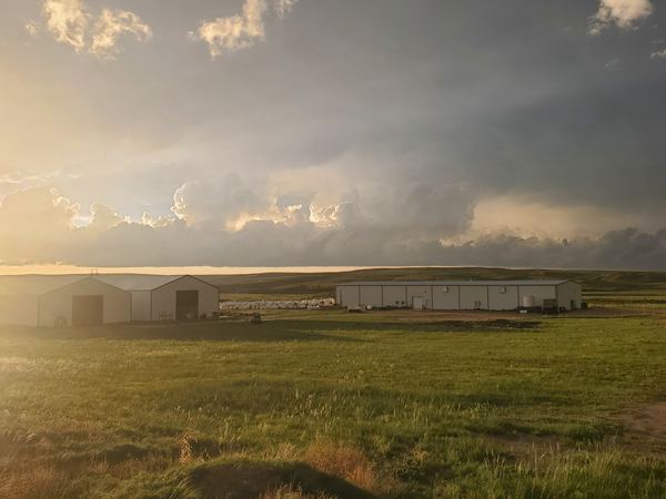 Hemp extraction facility exterior at sunrise